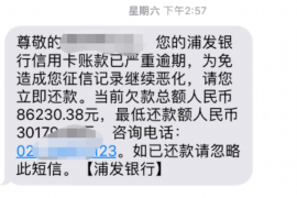 亚东融资清欠服务